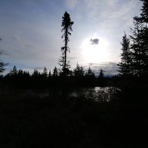 Meet your Posher, Leslie